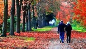 Relationship Intelligence