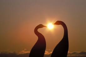 Identifying Who Is Your Ideal Mate